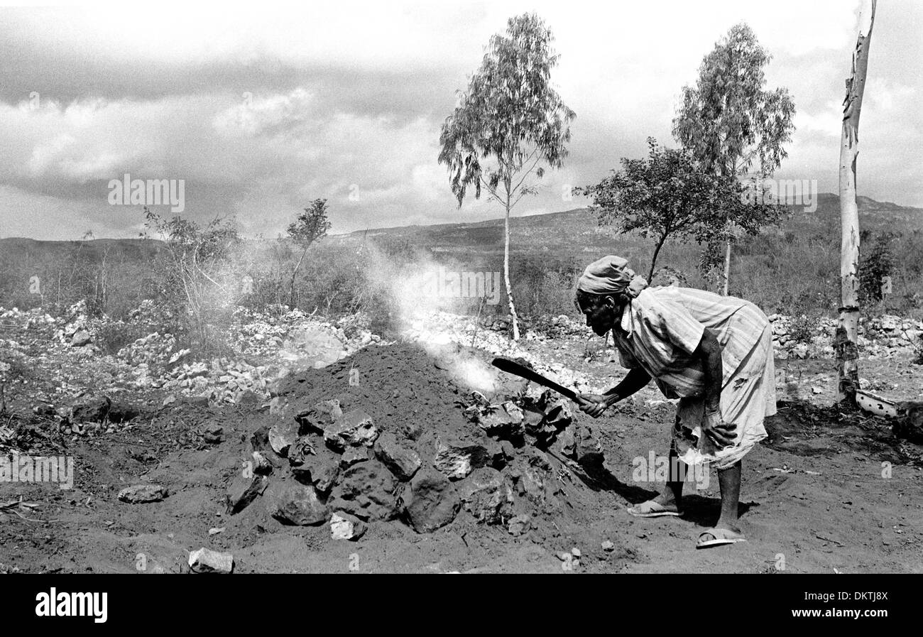 Juin 02, 2002 - Au nord-ouest d'Haïti, Haïti - 80 ans HILAVIE AGENOR comprend le sacrifice, ayant perdu quatre de ses dix enfants à la malnutrition et les maladies de la pauvreté. Ainsi, même si elle sait que couper les arbres d'Haïti et les brûler dans les noyaux de métro pour en faire du charbon est de détruire le pays, elle dit qu'il n'y a pas d'autre moyen pour une vieille veuve de survivre. La terre être Banque D'Images