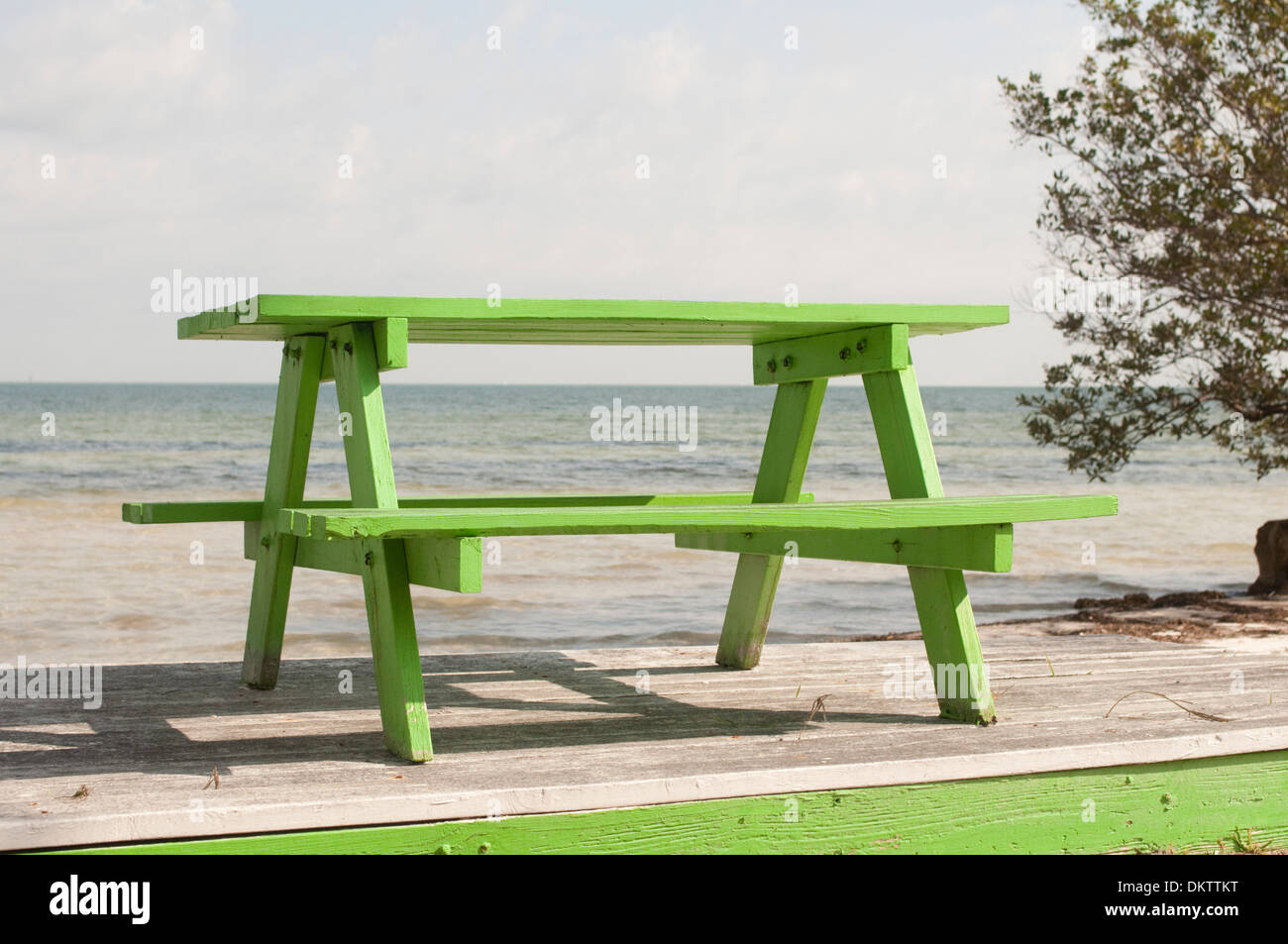 Une table de pique-nique vert lumineux donne sur la plage. Banque D'Images