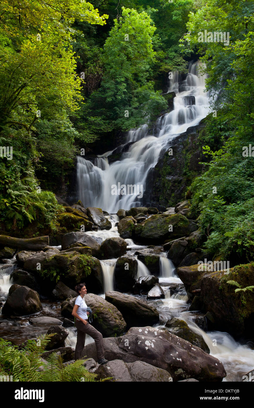 Torc Waterfall. Le Parc National de Killarney. Le comté de Kerry, Irlande, Europe. Banque D'Images