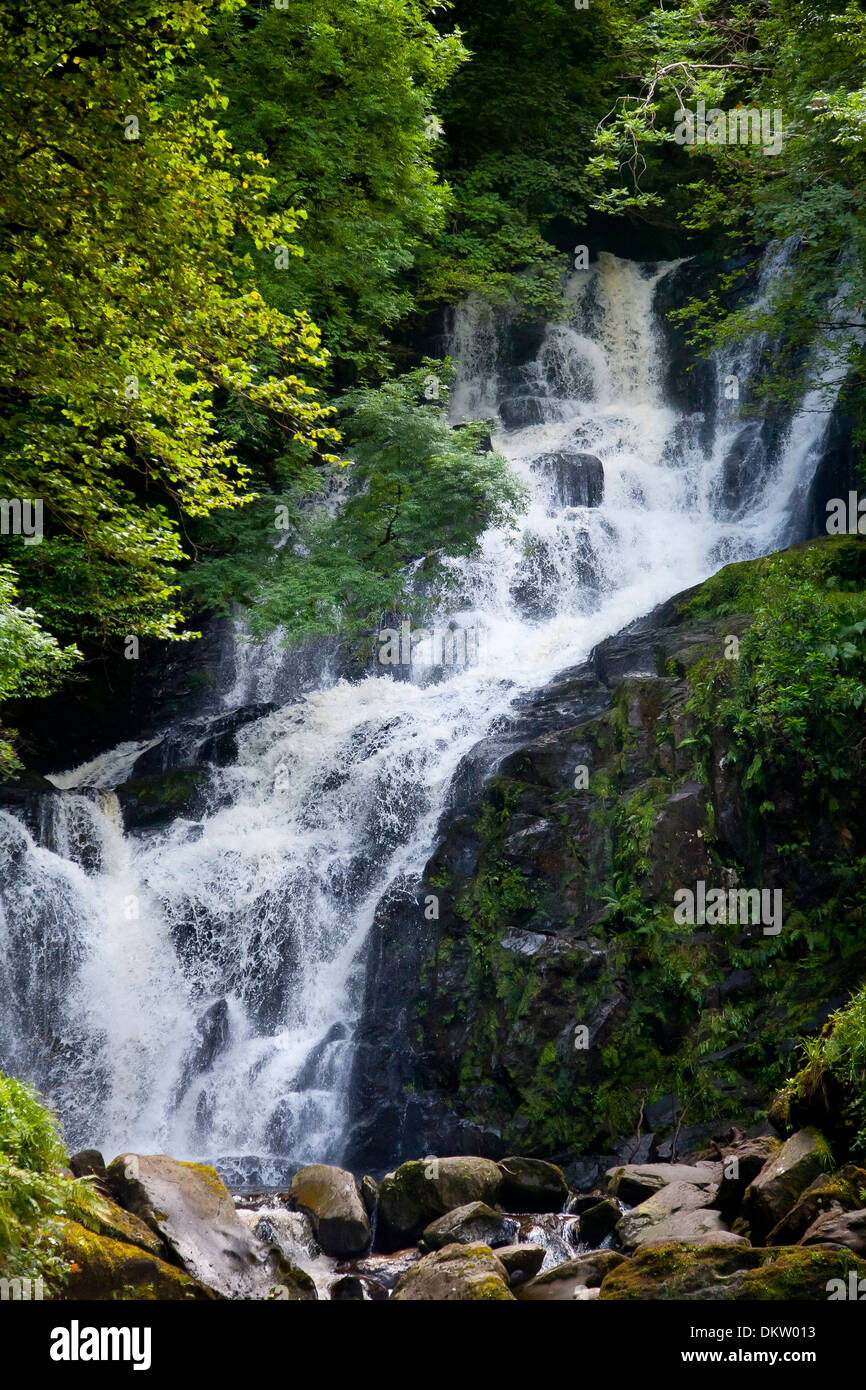 Torc Waterfall. Le Parc National de Killarney. Le comté de Kerry, Irlande, Europe. Banque D'Images