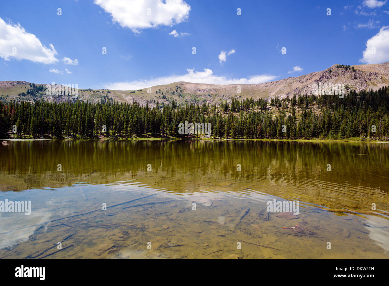Waterdog Lake, un lac de haute montagne dans les Montagnes Rocheuses du Colorado Banque D'Images