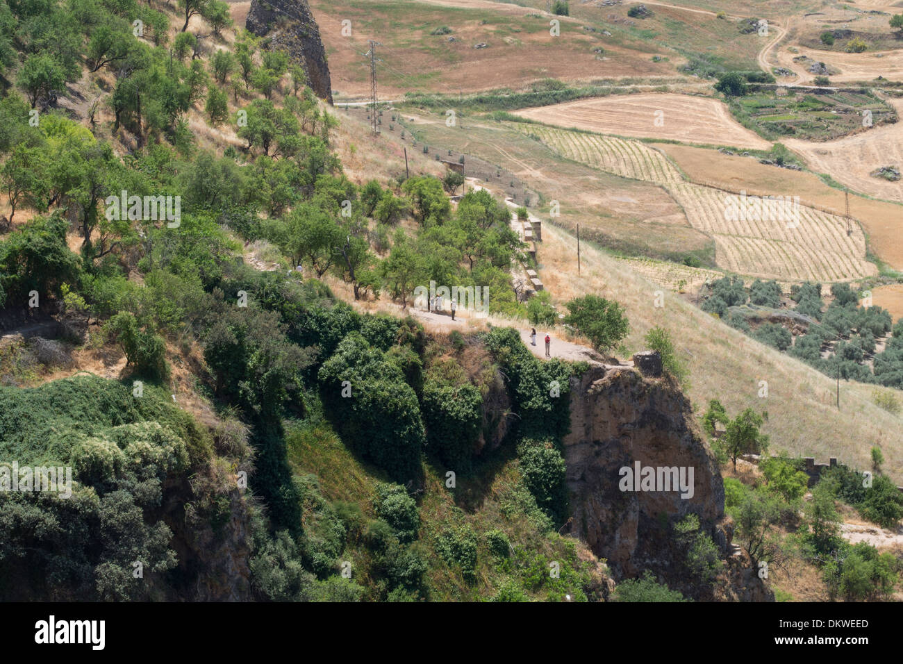 Ronda, Andalousie, Espagne Banque D'Images