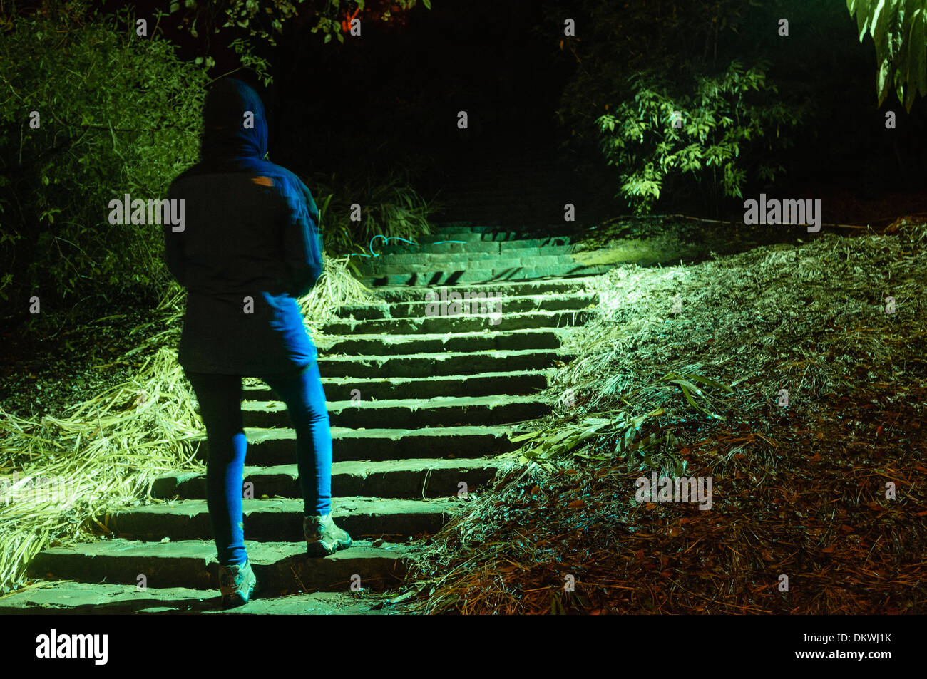 Une femme se présente comme suit dans une forêt sombre, éclairé en lumière verte spooky Banque D'Images