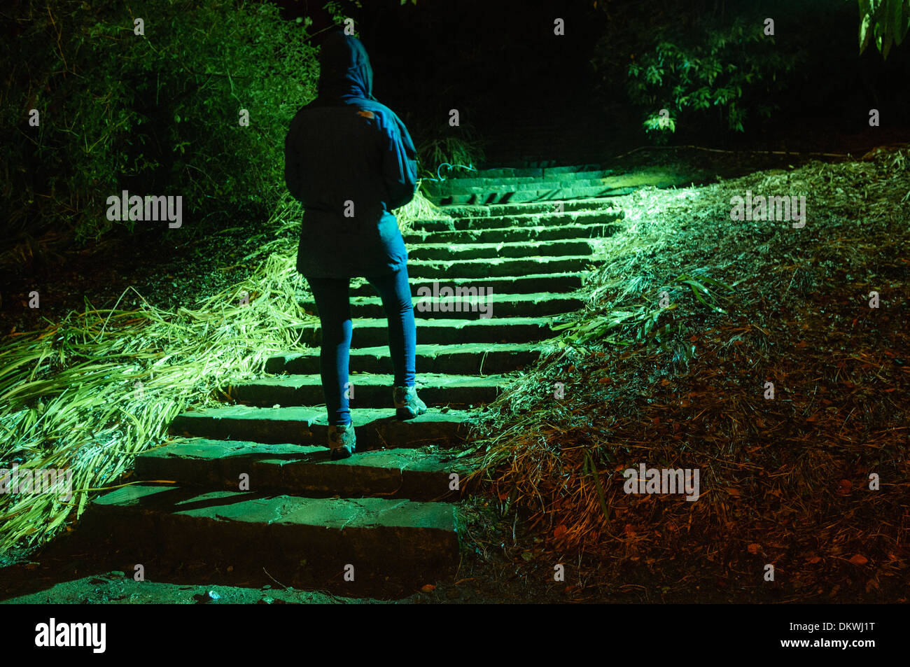 Une femme se présente comme suit dans une forêt sombre, éclairé en lumière verte spooky Banque D'Images