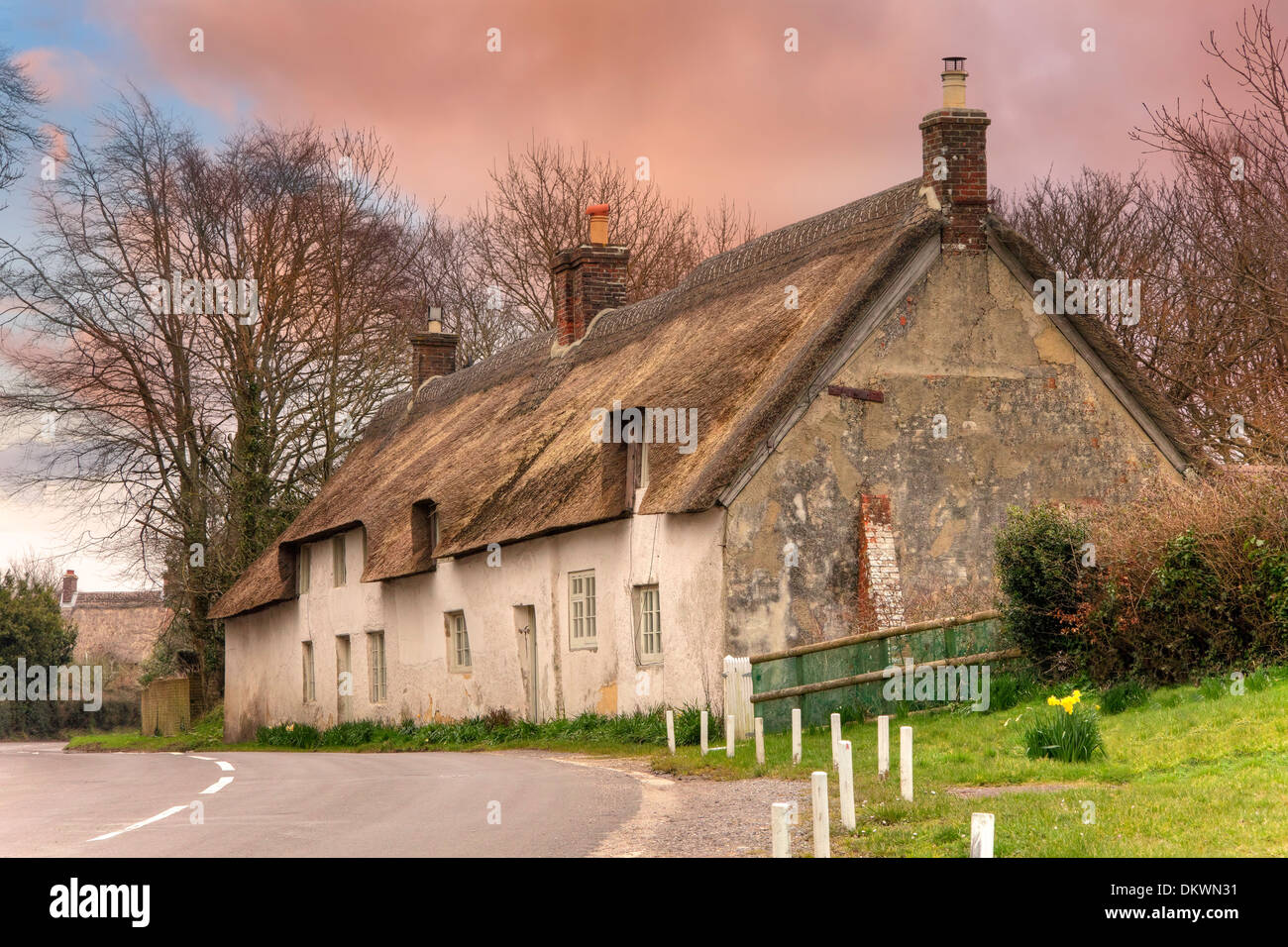 Ligne de blanc, mitoyenne cottages aux toits de chaume, Dorset, Angleterre. Banque D'Images