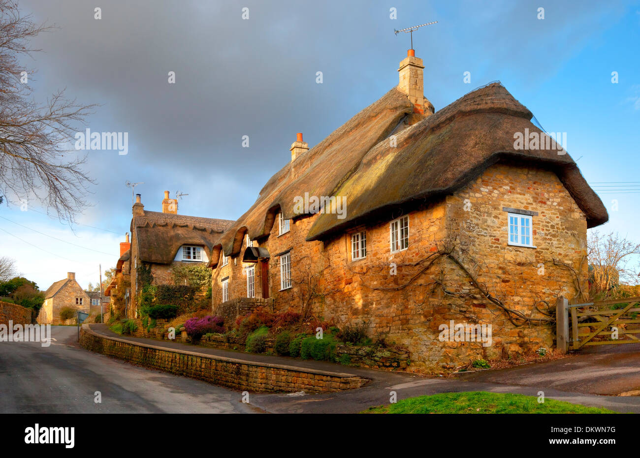 Cotwold thatched cottage en pierre, Ebrington, Gloucestershire, Angleterre. Banque D'Images