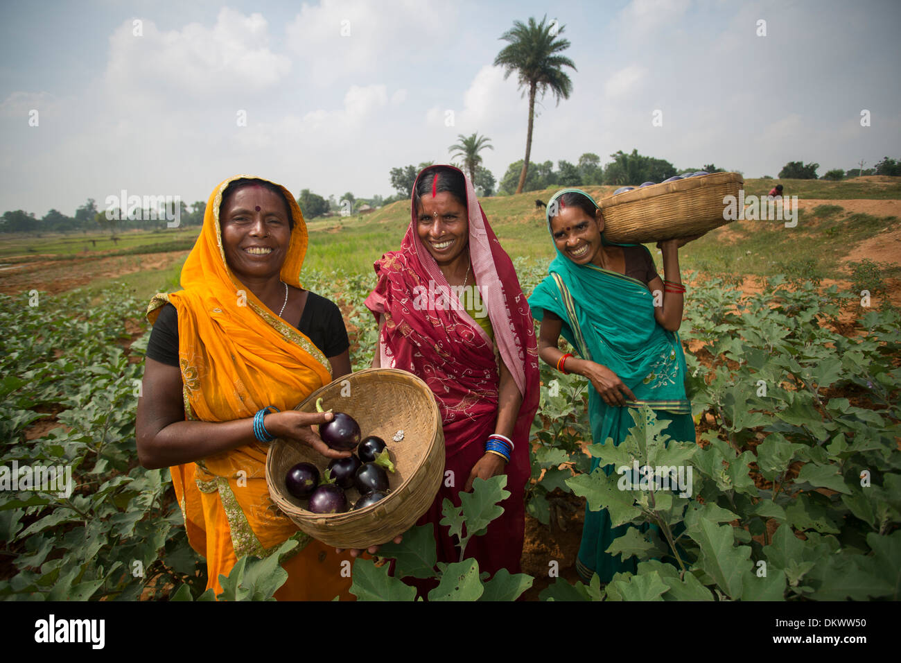 Dans l'État du Bihar agricultrice, de l'Inde. Banque D'Images