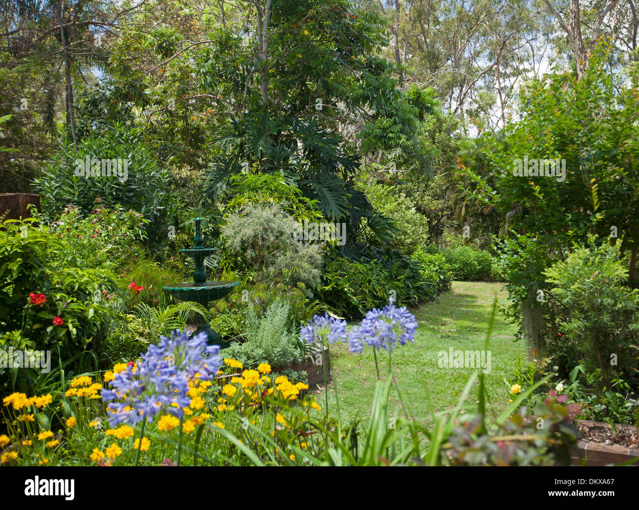 Sub-tropical spectaculaire chalet jardin - une fontaine décorative fontaine, feuillage émeraude, arbustes à fleurs, plantes vivaces, gazon Banque D'Images