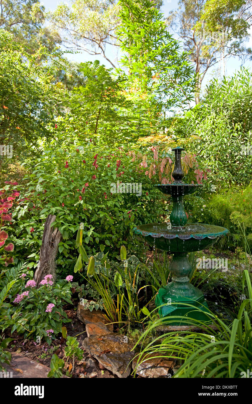 Jardins sub-tropicaux jardin avec une fontaine décorative / dispositif de l'eau entouré de feuillage émeraude, arbustes et vivaces Banque D'Images