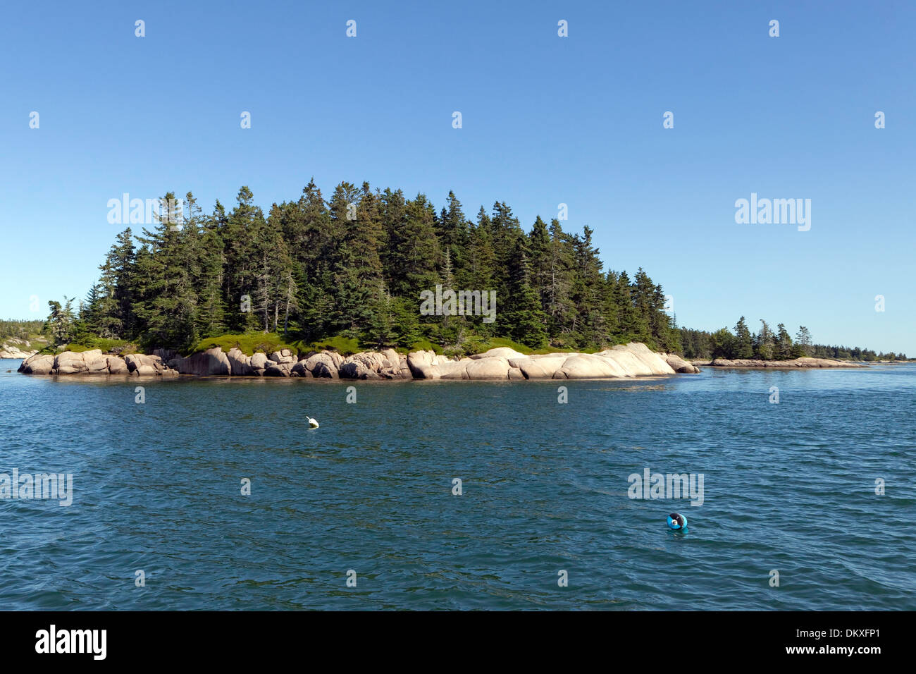 Petite île, erreur dans l'Est du port, Maine Banque D'Images