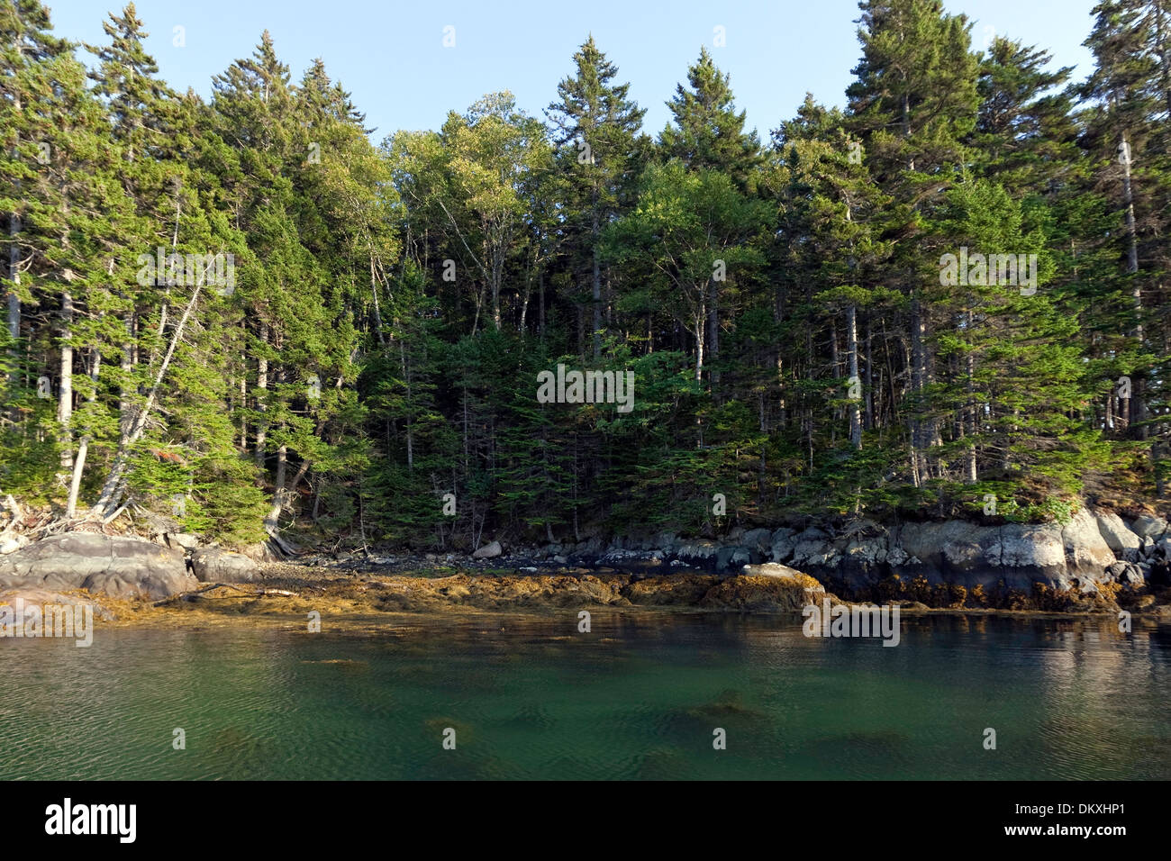 Scenic Maine, Roque, archipel de l'île dans l'Est, Maine Banque D'Images