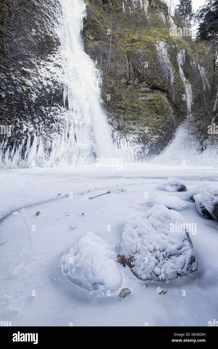 La prêle Falls à la Columbia River Gorge en Oregon gelés en hiver à la verticale Banque D'Images