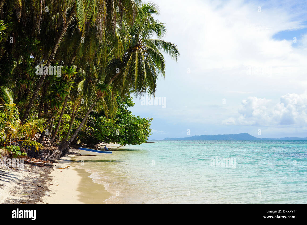 Tropical Beach Island avec leaning cocotier et un bateau, mer des Caraïbes, Panama, touches Zapatillas Banque D'Images