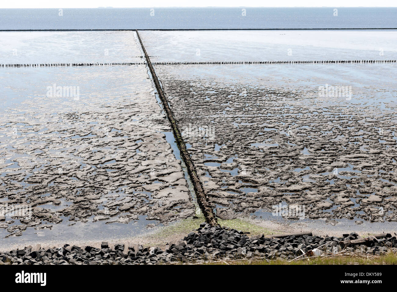 La mer des Wadden, classé au Patrimoine Mondial de l'UNESCO, de la mer du Nord, Sylt, Allemagne Banque D'Images