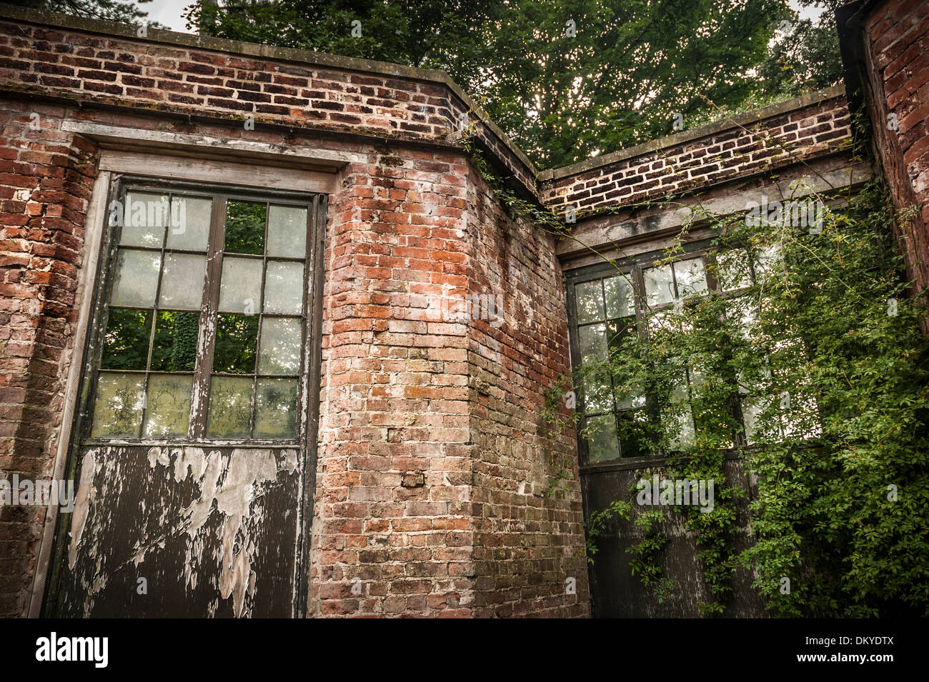 Abandonnés et envahis par la véranda victorienne avec toit manquant à Rode Hall, Cheshire, Royaume-Uni. Banque D'Images