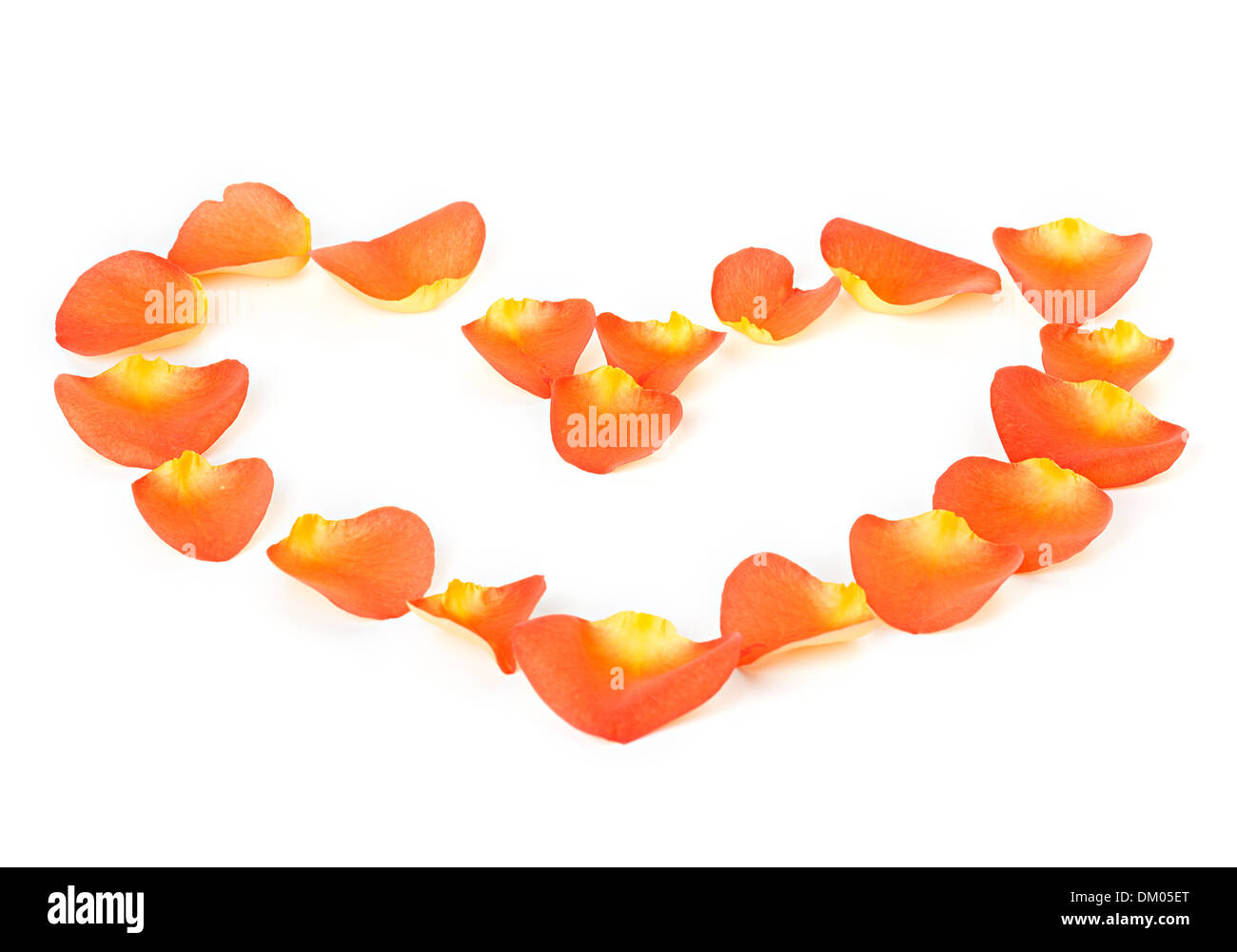 Coeur de pétales de rose isolated on white Banque D'Images