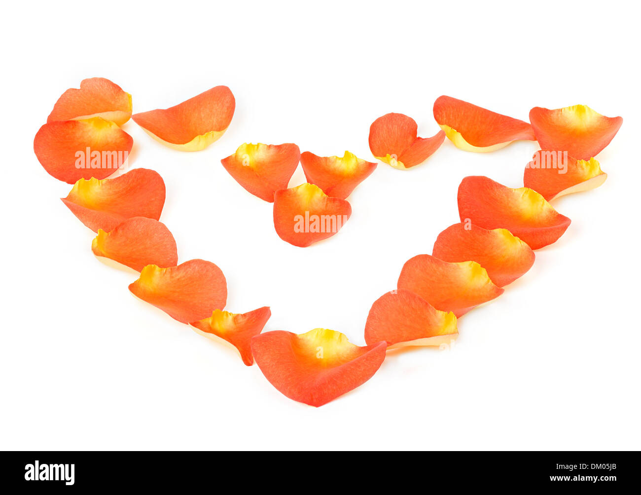 Coeur de pétales de rose isolated on white Banque D'Images