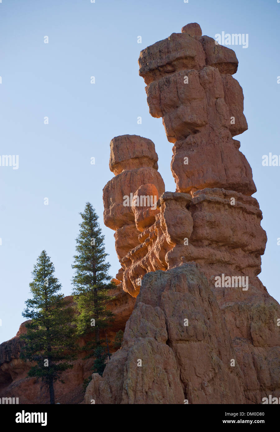 Red Rock Canyon, Bryce, Utah, USA Banque D'Images