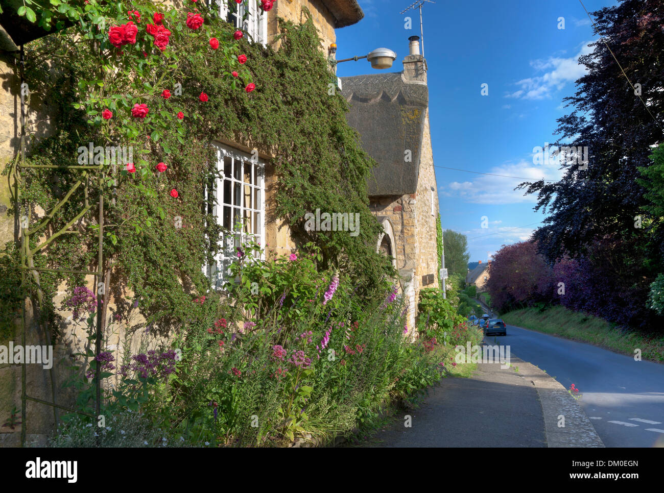 Rose couverts chaumière, Ebrington, Gloucestershire, Angleterre. Banque D'Images