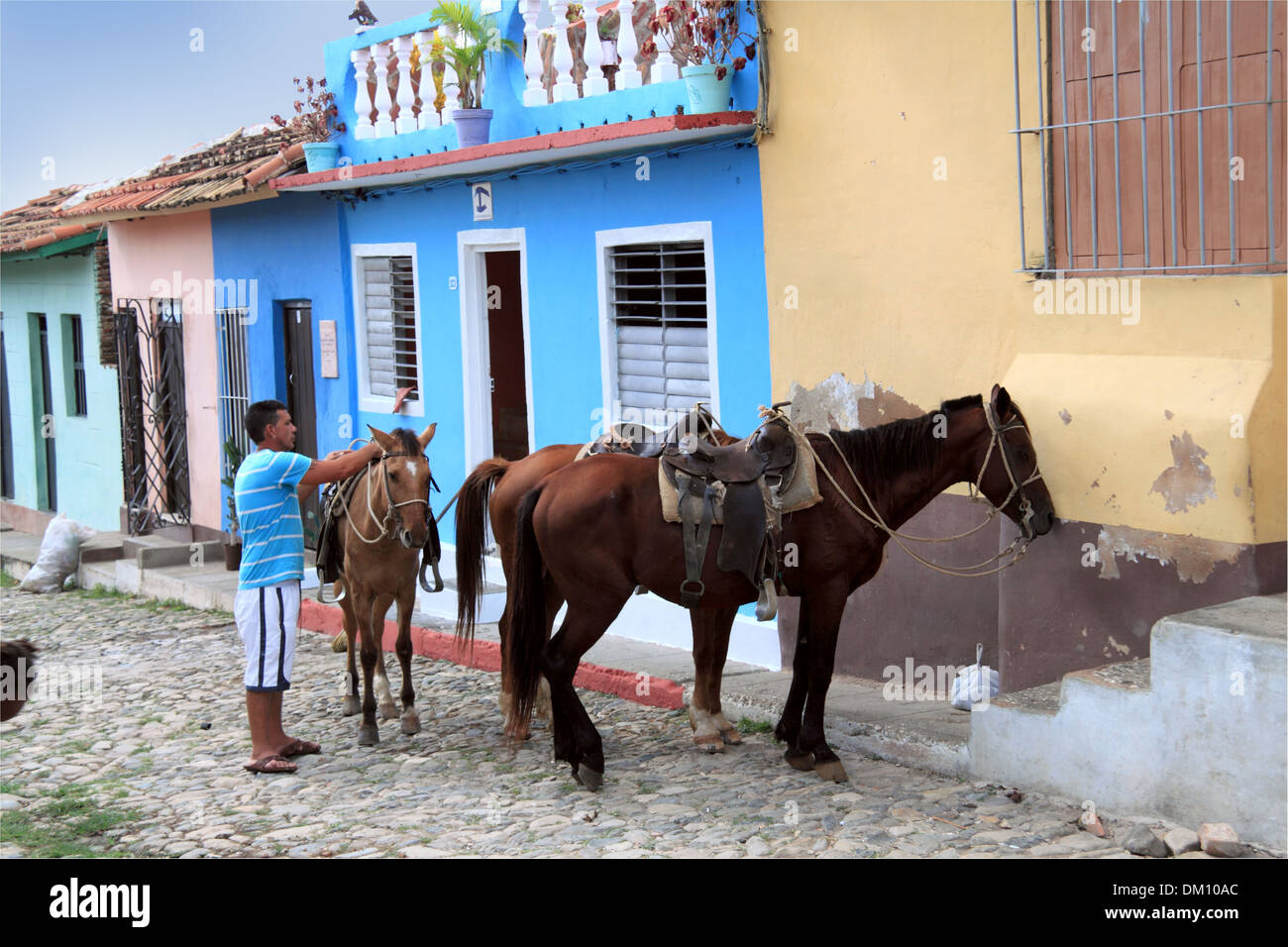 Les chevaux à l'extérieur de maison, Calle José Mendoza (Santa Ana), Trinidad, la province de Sancti Spiritus, Cuba, mer des Caraïbes, l'Amérique centrale Banque D'Images