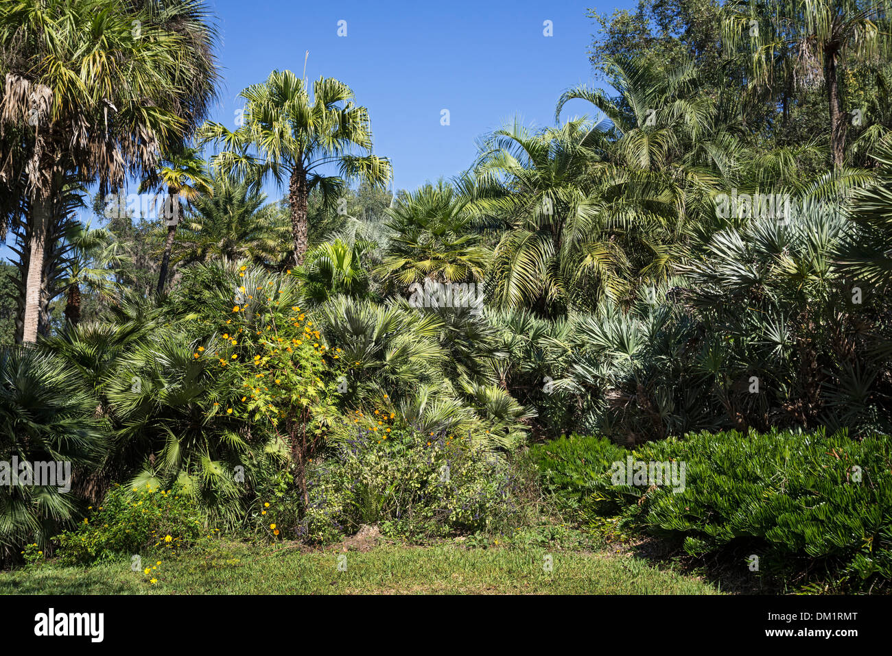 Kanapaha Botanical Gardens Gainesville en Floride. Banque D'Images