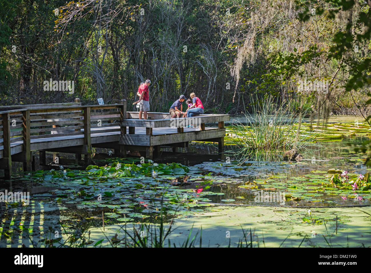 Kanapaha Botanical Gardens Gainesville en Floride. Banque D'Images