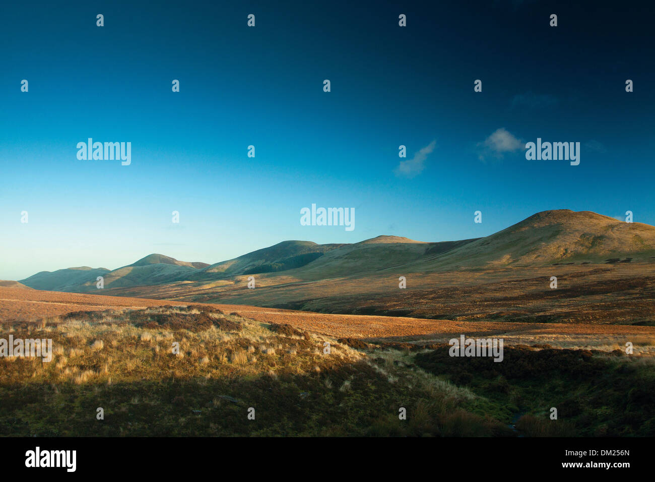 Le pids, l'Ouest à l'est le pids, l'échaudage droit et Carnethy Hill à partir de la Red Road, les collines de Pentland, le Parc Régional Pentland Hills, Lothian Banque D'Images