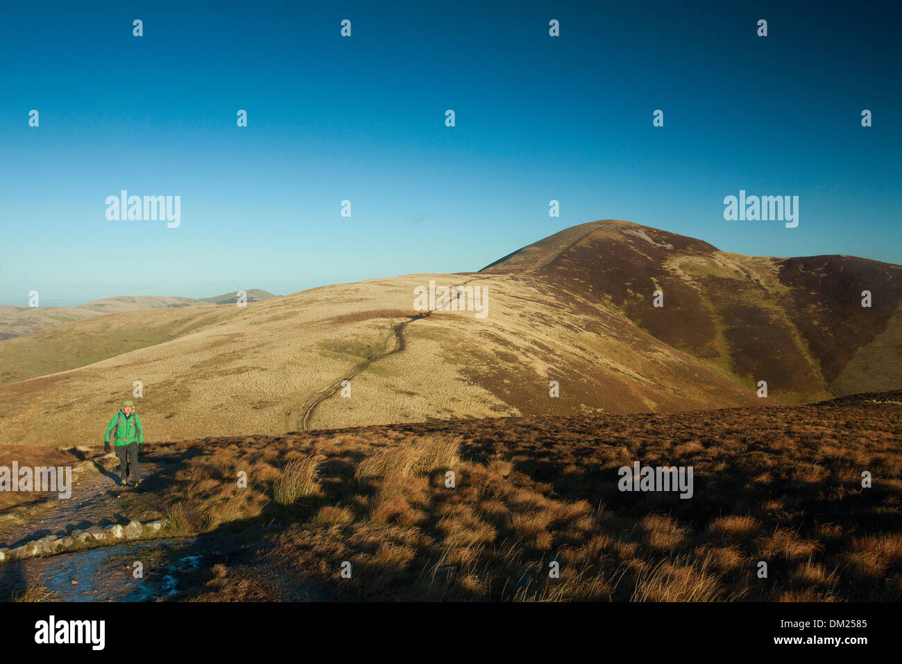 Carnethy Hill de l'échaudage droit, les collines de Pentland, le Parc Régional Pentland Hills, Lothian Banque D'Images