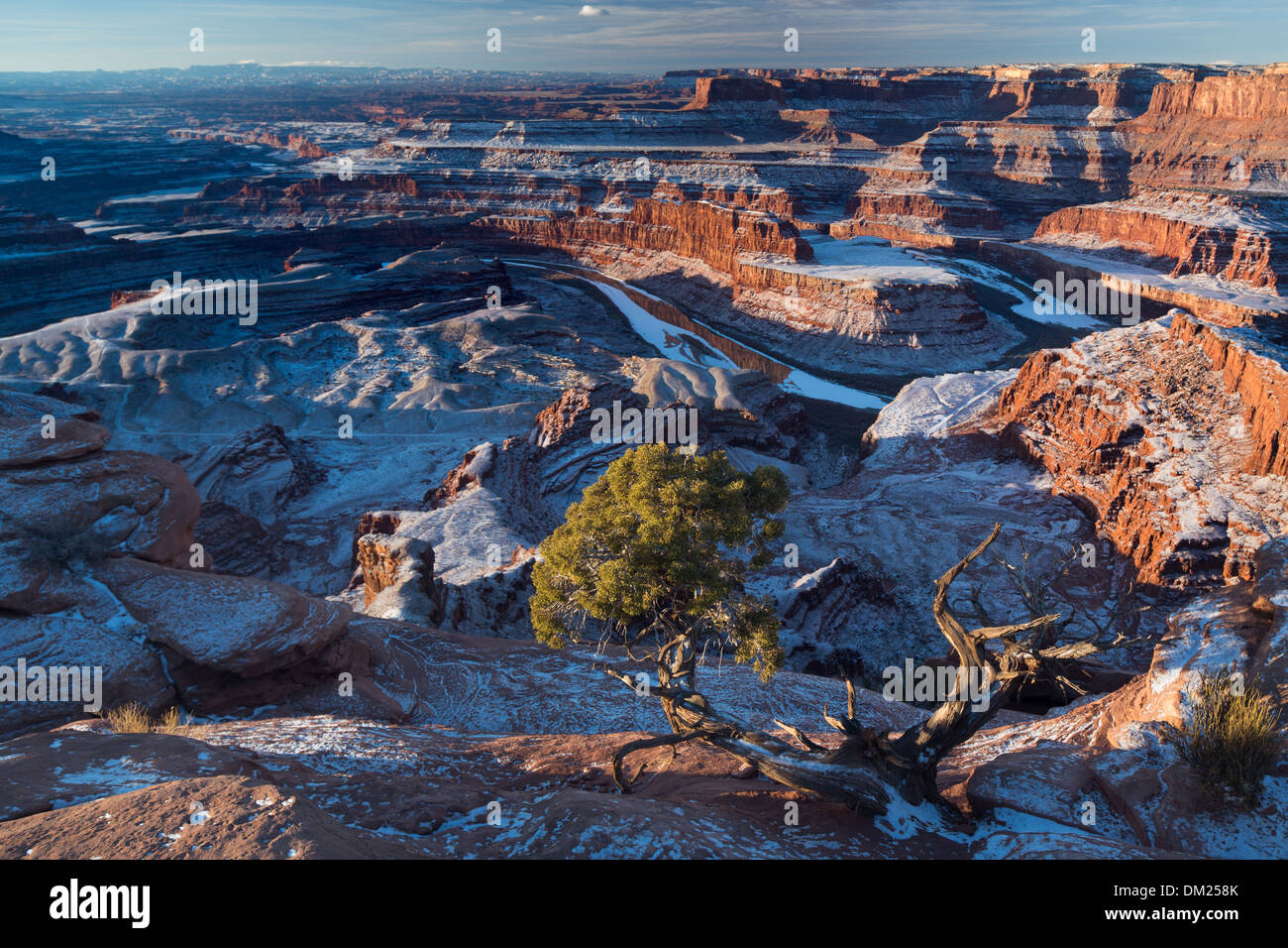 La vallée du Colorado à partir de Dead Horse Point à l'aube, Utah, USA Banque D'Images