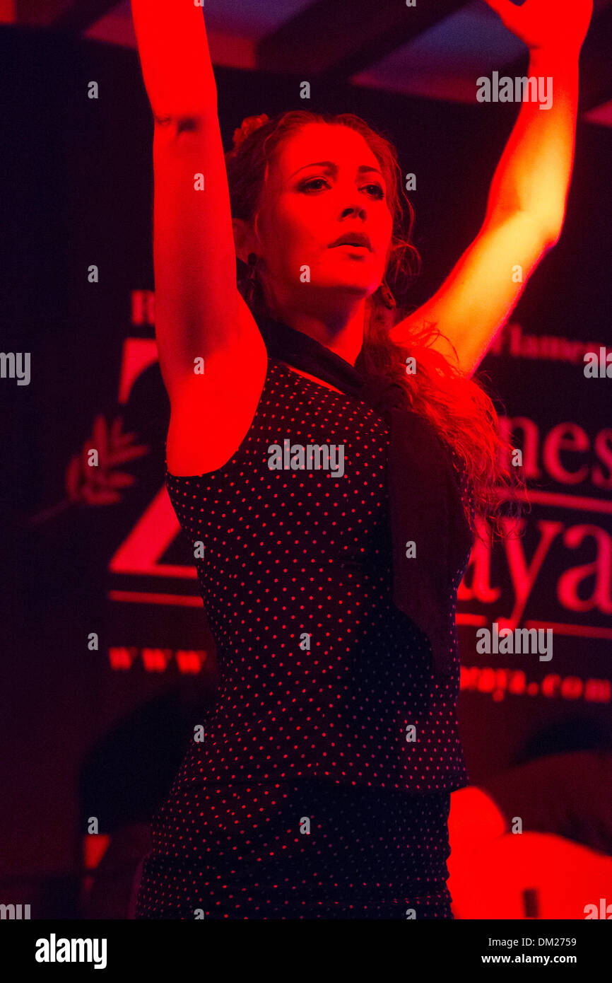 Danseuse de Flamenco, Grenade, Andalousie, Espagne Banque D'Images