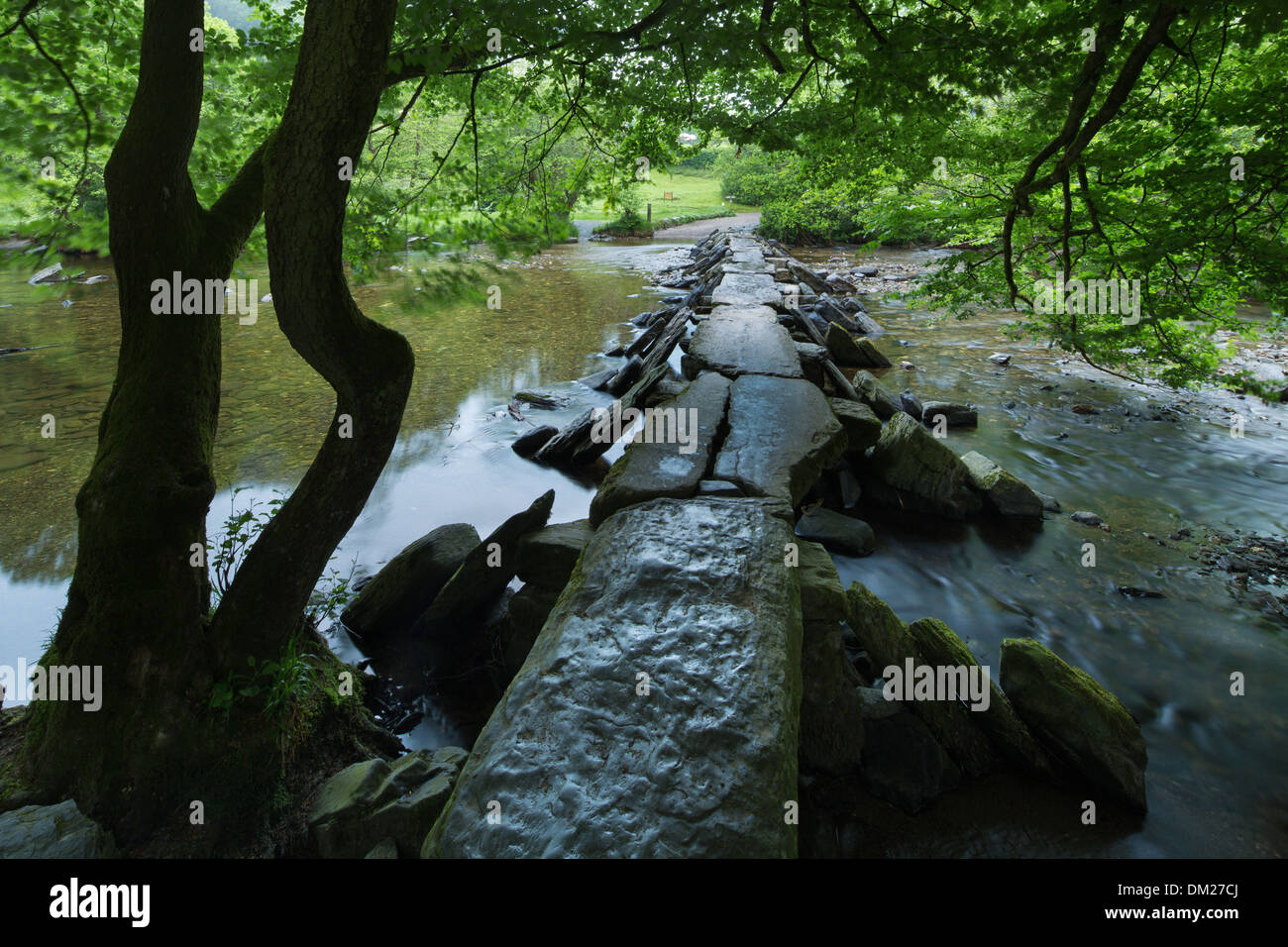 Tarr étapes, une cité médiévale clapper pont traversant la rivière Barle dans le Parc National d'Exmoor, Somerset, Angleterre Banque D'Images