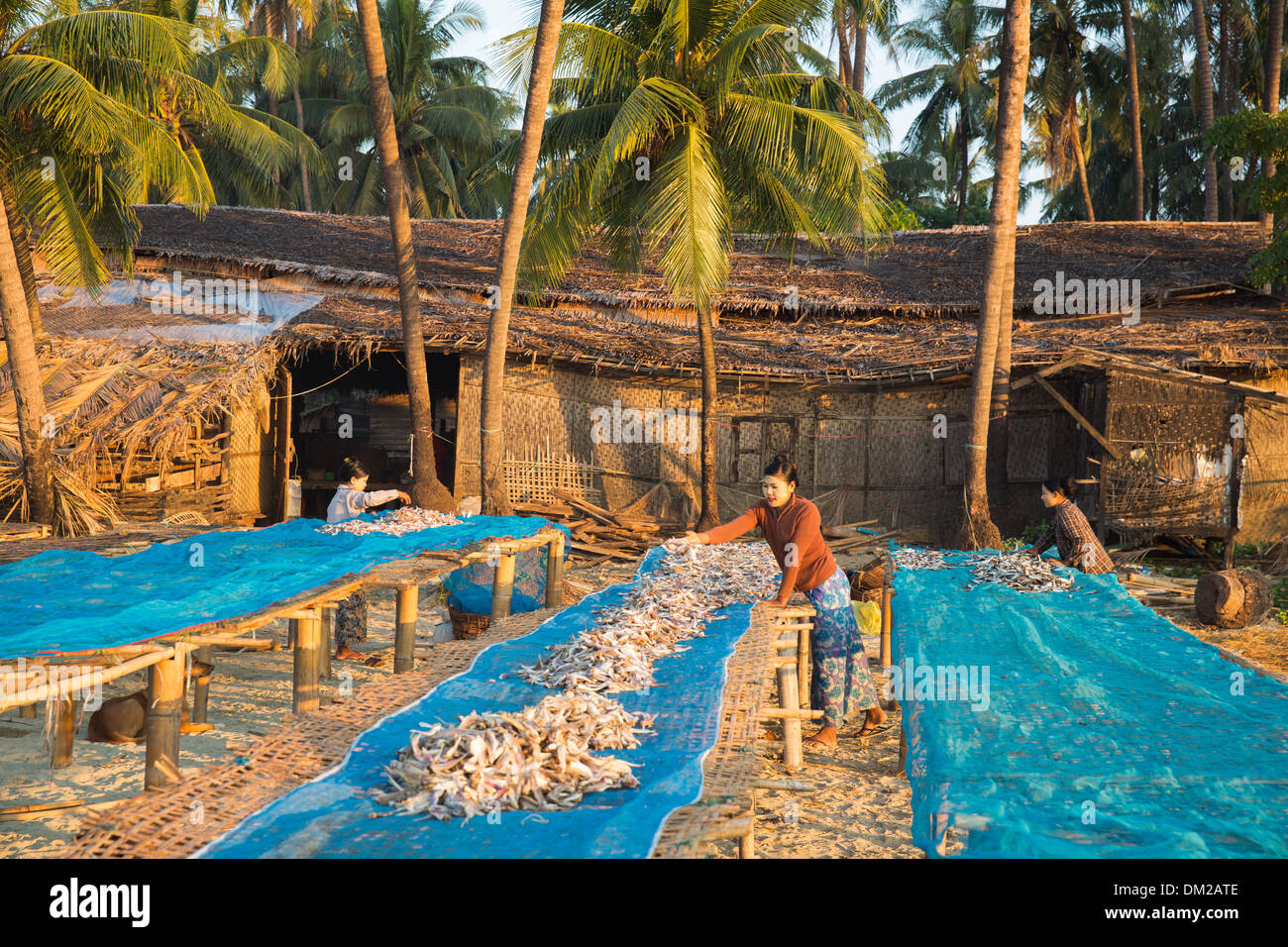 La plage à Gyeiktaw à l'aube, Ngapali, Rakhine, Myanmar (Birmanie) Banque D'Images