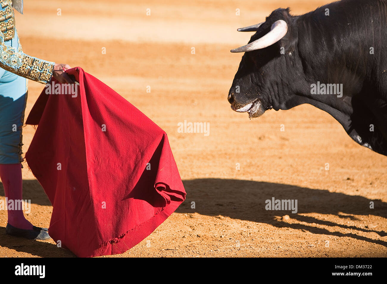Torero avec la Cape dans la corrida, Espagne Banque D'Images