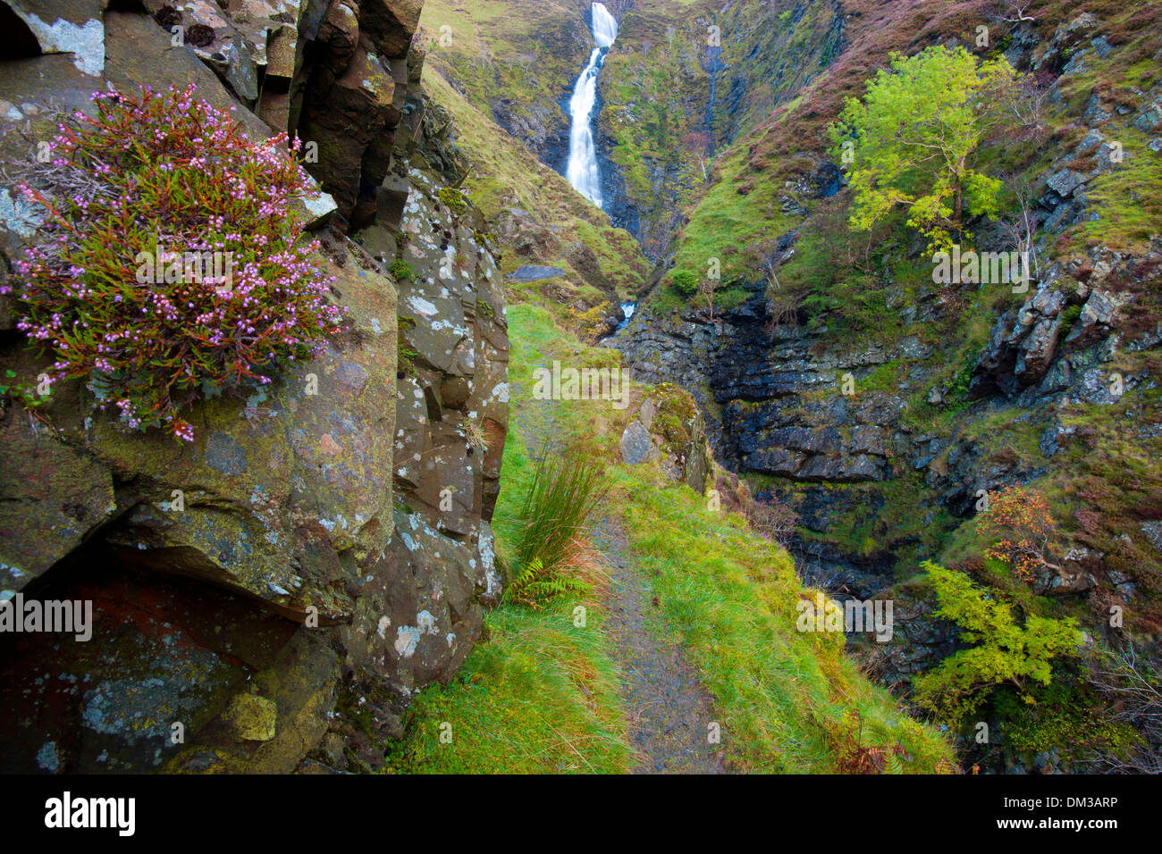 La jument grise, queue, cascade, cataracte, en Grande-Bretagne, en Europe, de l'Écosse, de ravin, way, cascade, cataracte, rock, falaise, Banque D'Images