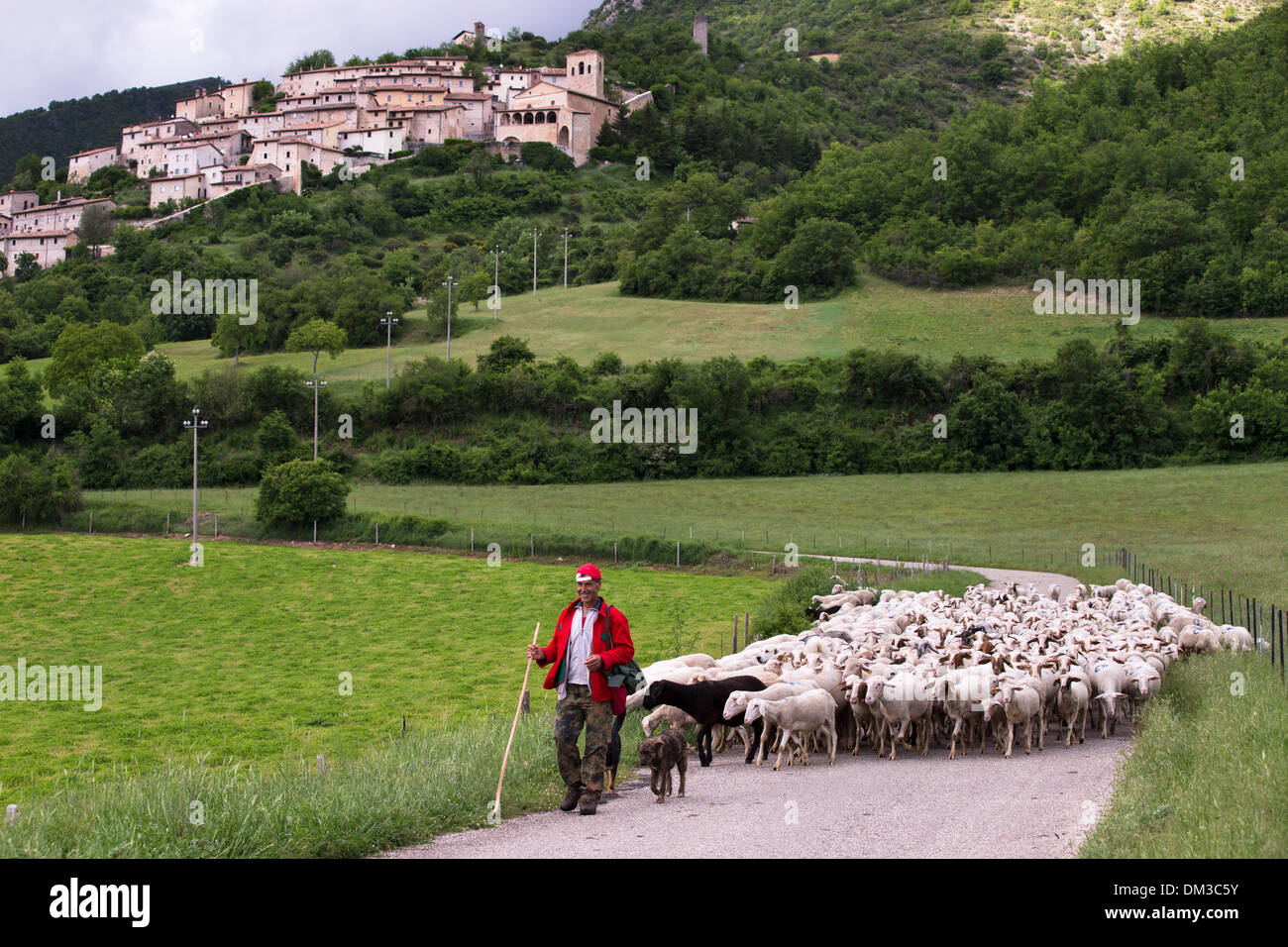 Un berger avec son troupeau, Campi, Valnerina, Ombrie, Italie Banque D'Images