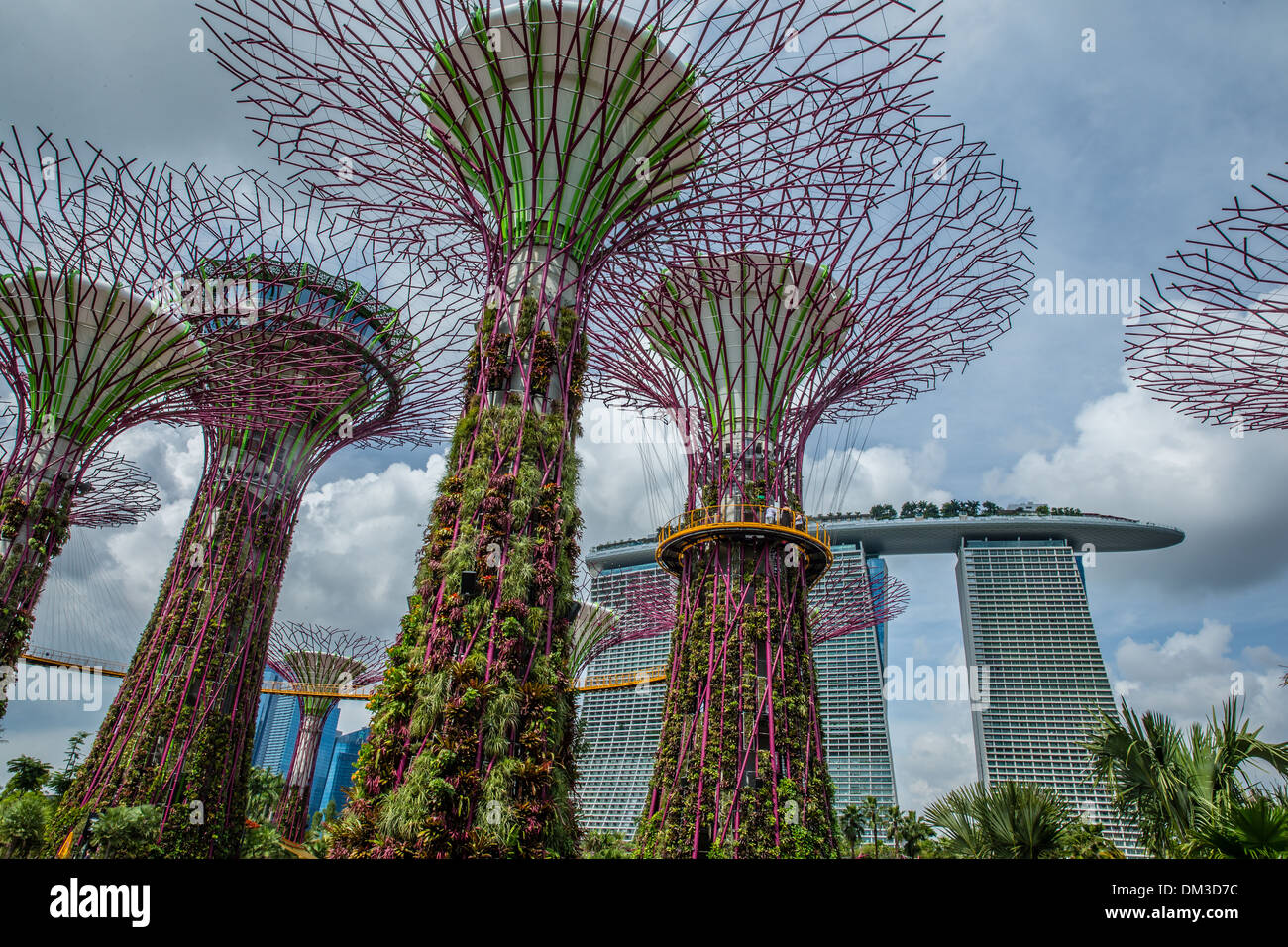 L'Supertrees, jardins de la baie, avec la Marina Sands Hotel, Singapore Banque D'Images