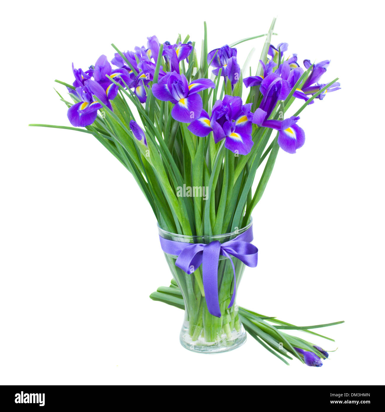 Irise bleu fleurs dans vase en verre Banque D'Images