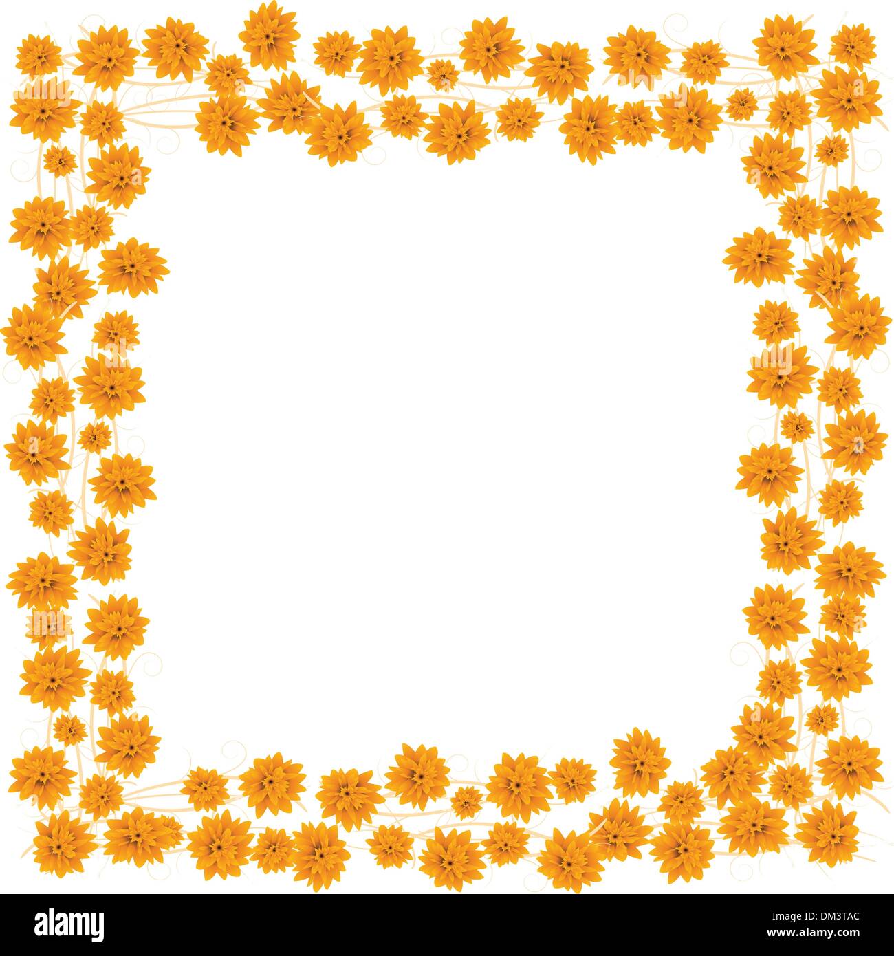 Roses orange Illustration de Vecteur