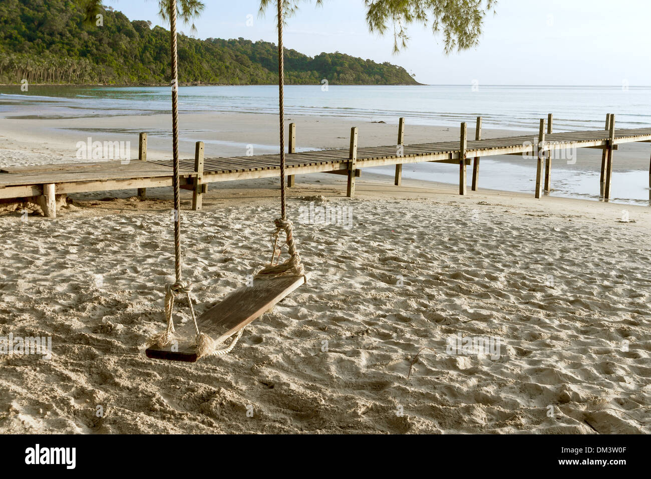 Swing sous un arbre.Sur la plage au coucher du soleil Banque D'Images