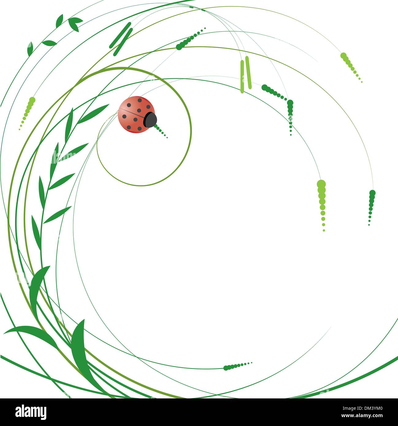 Floral background avec coccinelle. Vector Illustration Illustration de Vecteur