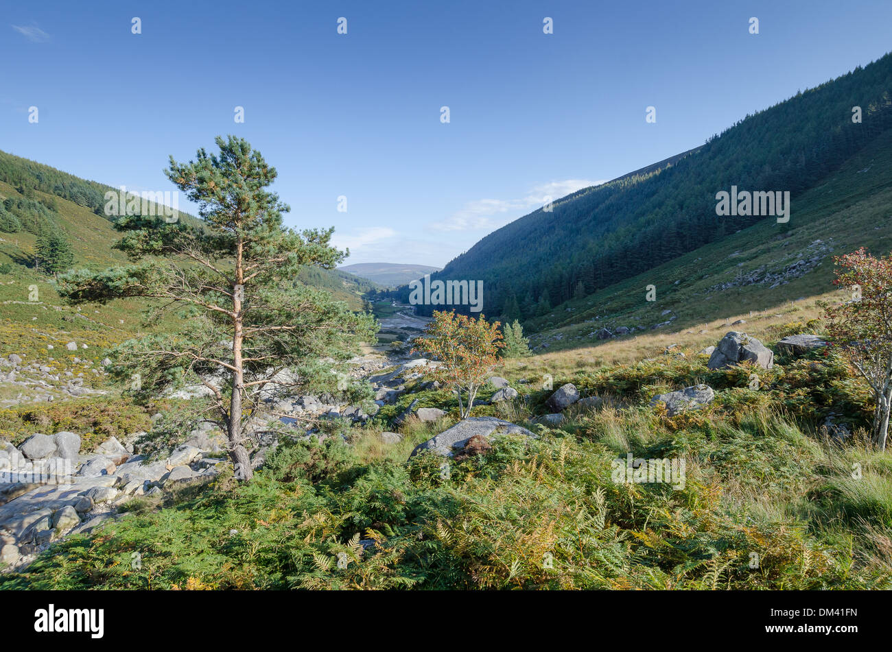 Montagnes de Wicklow, Irlande en hiver Banque D'Images