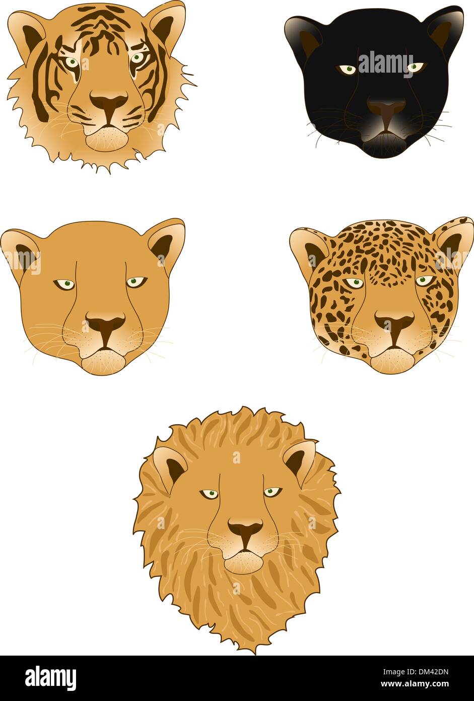 Panthère, Lion, Léopard, tigre et lionne Illustration de Vecteur