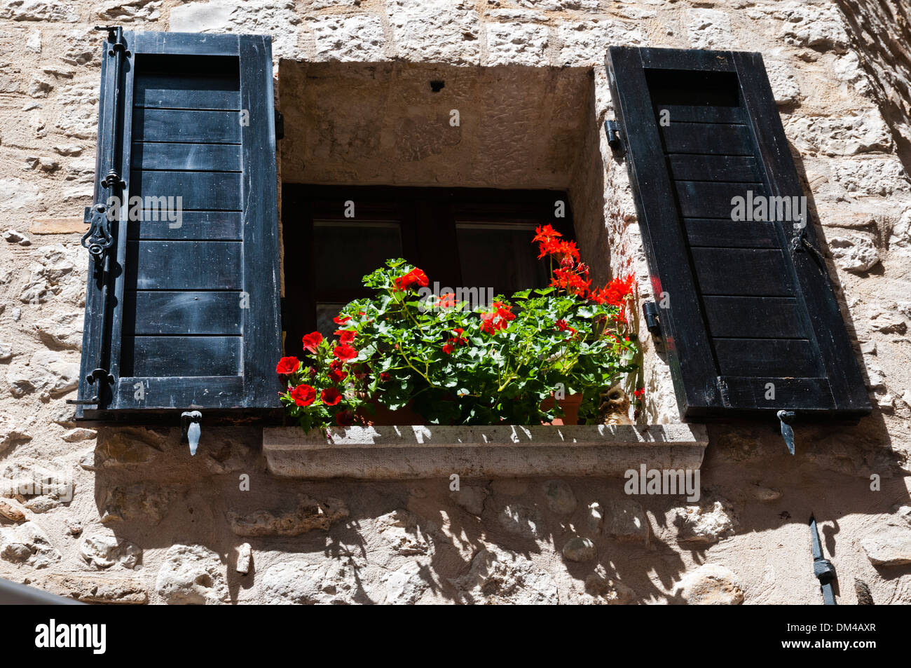 Fleurs dans la fenêtre avec volets noirs, Saint-Paul-de-Vence, dans le sud-est de la France, Côte d'Azur Banque D'Images