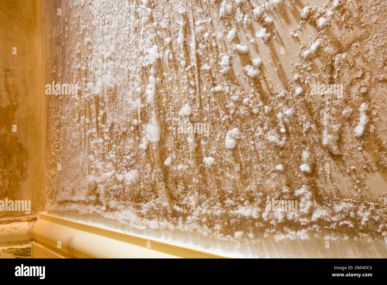 L'efflorescence minérale spectaculaire s'accumuler sur une nouvelle paroi qui avait été traité pour l'humidité. Banque D'Images