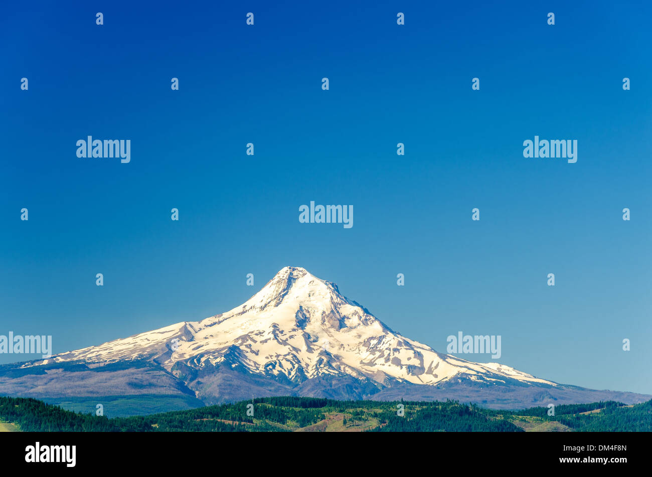 Couvert de neige magnifique Mt. Capot et un ciel bleu profond dans l'Oregon, USA Banque D'Images