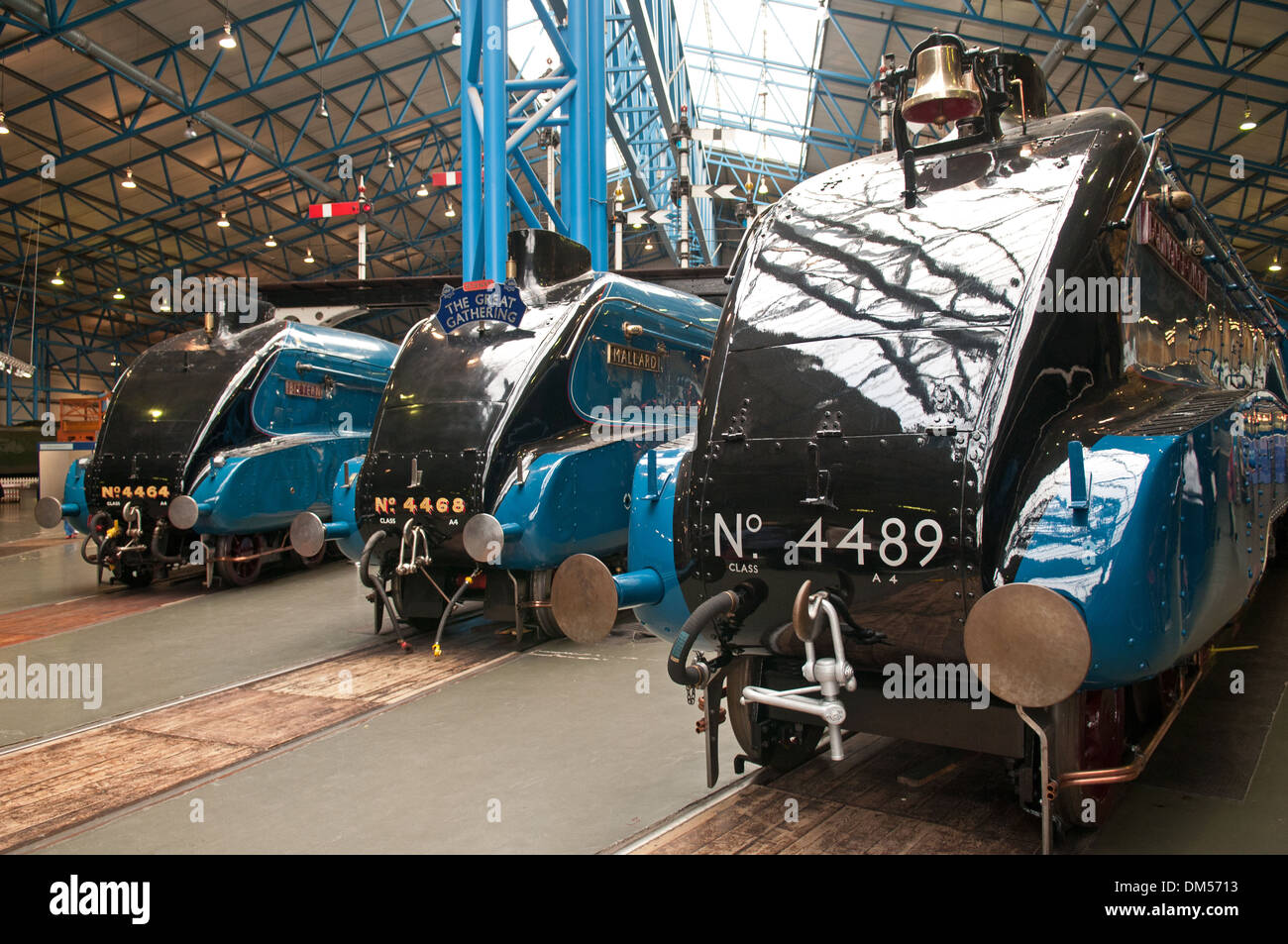 A4 - Pacifics Dominion du Canada, le Canard colvert et le Petit Blongios côte à côte dans le National Railway Museum York dans le "Grand Rassemblement". Banque D'Images