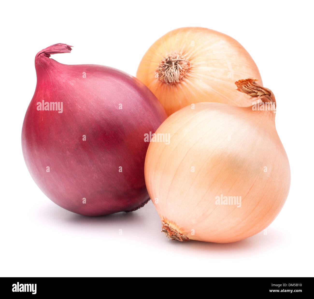 Bulbes Légumes oignon isolé sur fond blanc dentelle Banque D'Images