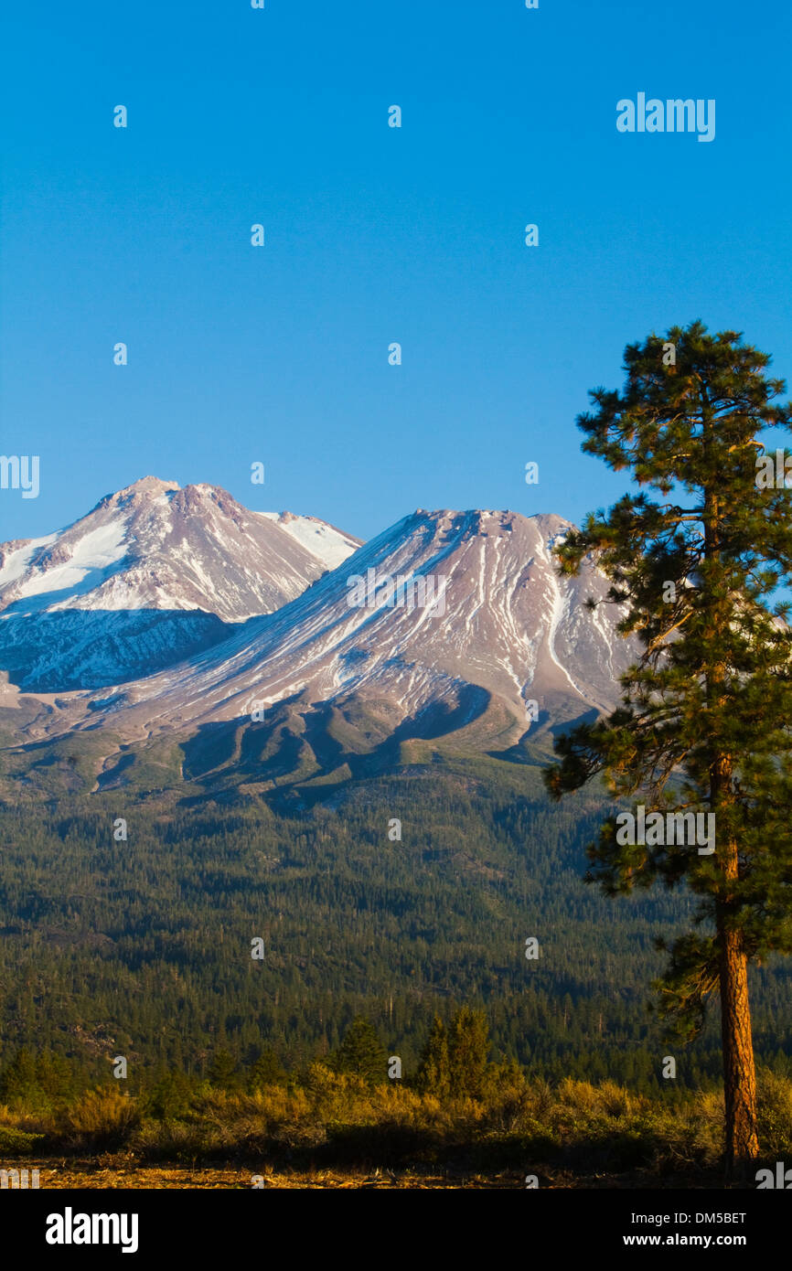 Le mont Shasta le nord de la Californie, USA Banque D'Images