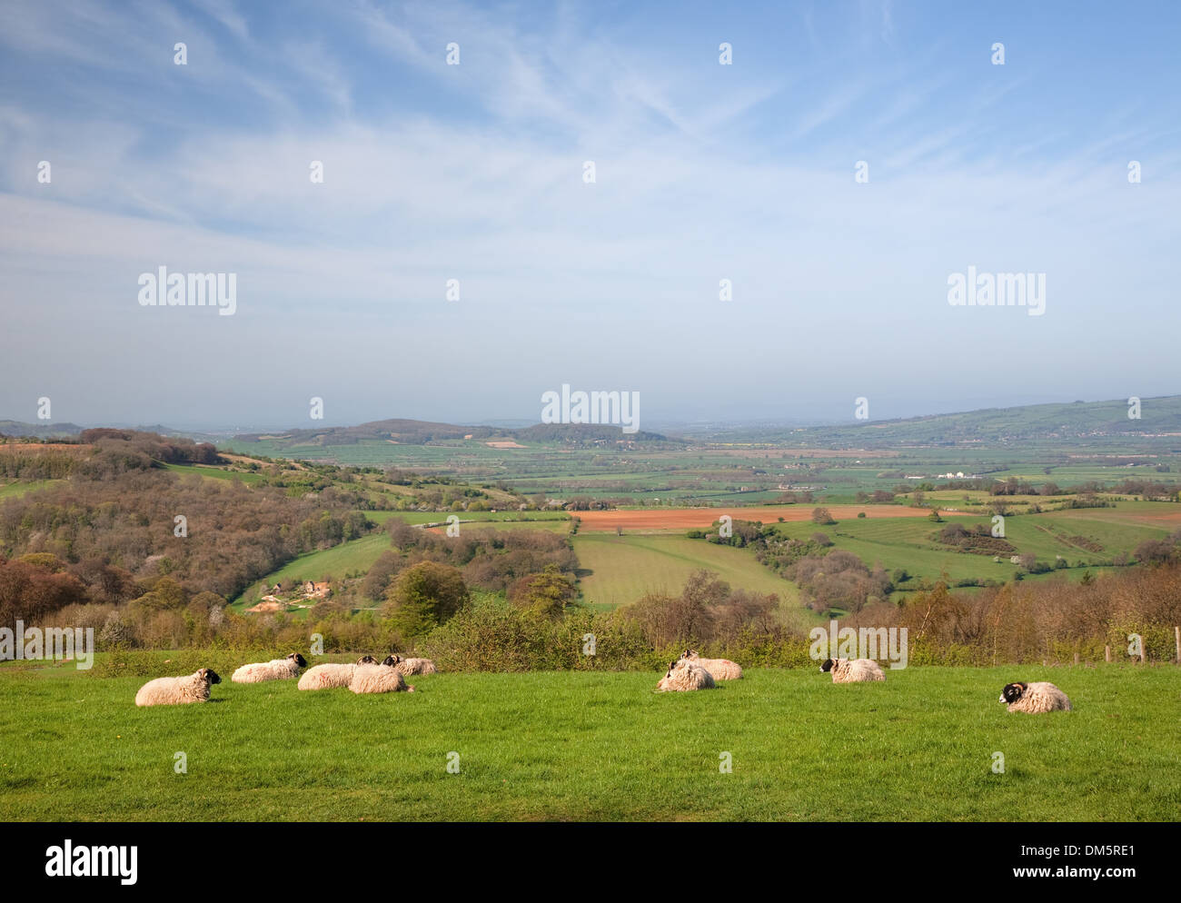 Les terres agricoles près de château blanc, Monmouthshire, Wales, Grande Bretagne. Banque D'Images