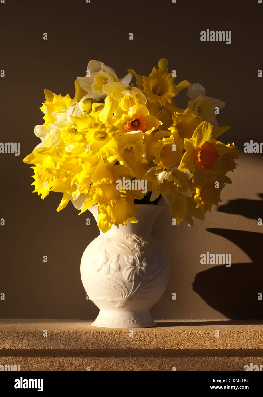 Vase blanc avec des jonquilles printemps sur Cotswold, matlepiece Banque D'Images